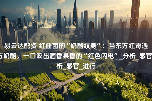 易云达配资 红曲菌的“奶酪纹身”：当东方红霉遇上西方奶酪，一口咬出酒香果香的“红色闪电”_分析_感官_进行