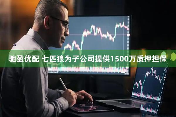 驰盈优配 七匹狼为子公司提供1500万质押担保