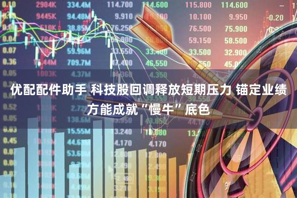 优配配件助手 科技股回调释放短期压力 锚定业绩方能成就“慢牛”底色