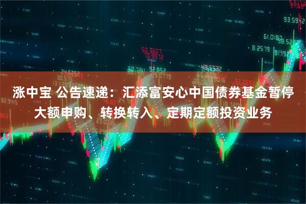 涨中宝 公告速递：汇添富安心中国债券基金暂停大额申购、转换转入、定期定额投资业务