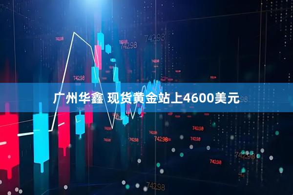 广州华鑫 现货黄金站上4600美元